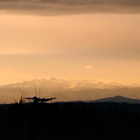 Appartement, Vue Sur Les Pyrenees Pouillon Екстериор снимка